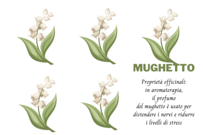 Lily of the Valley o Mughetto, proprietà officinali, profumo e miti.